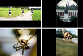 7 простых советов, как сделать классные фотки на смартфоне