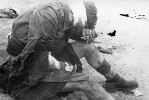 Самая массовая атака крокодилов