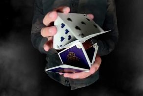 Неоднократный чемпион мира по Cardistry