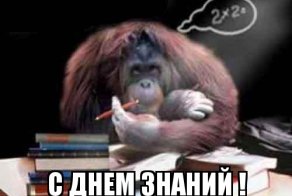 Фишкина солянка за 01.09.2014г.