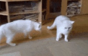 Вот это рефери