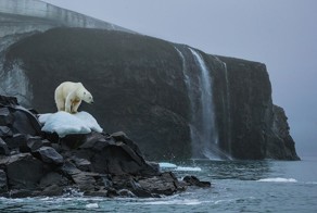 Лучшие фотографии National Geographic: август 2014 года