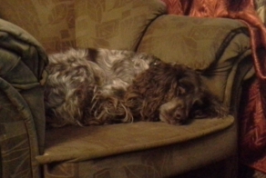 У меня сегодня друг умер! Настоящий друг!