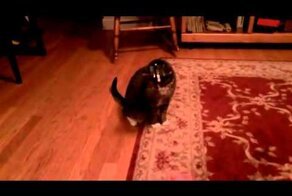 Все гениальное просто