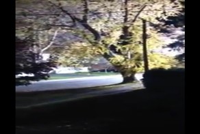 Шаровая молния прокатилась по электропроводам