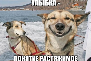 Фишкина солянка за 03.09.2014