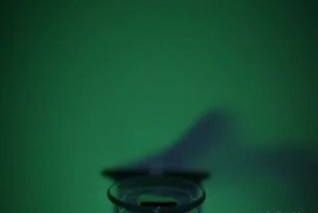 Подборка роликов от 20.12.2012