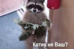 Картинки со смешными подписями