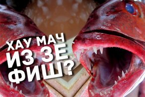 Моя мечта. Остров Бали.