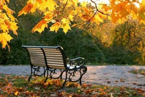 БАБЬЕ ЛЕТО 2014