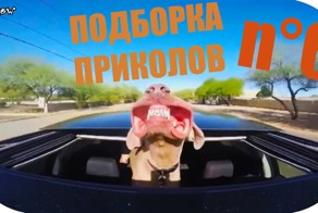 ПОДБОРКА ЛУЧШИХ ПРИКОЛОВ