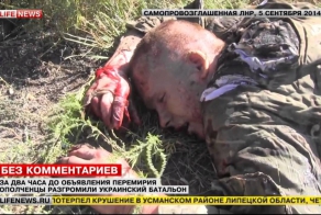 Видео и фото  с разгрома батальона украинских карателей "Айдар"