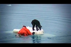 Эти 4 минуты восстановят Вашу веру в человечество!!!