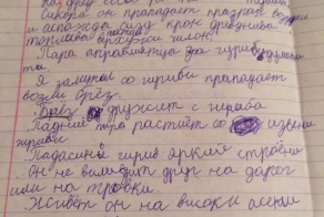 Диктант шестиклассника