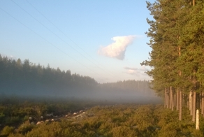 Тихая осенняя охота...