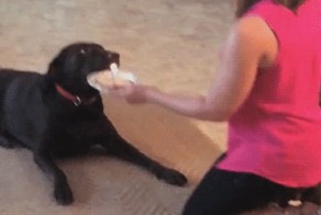 Ты думаешь загладить свою вину блином?