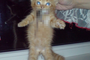 Маленький охотник :)