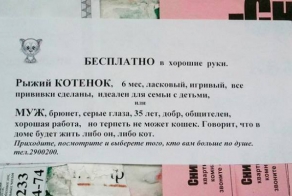 Добрые объявления со всего мира
