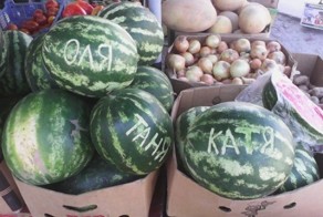 Маразмы нашего времени