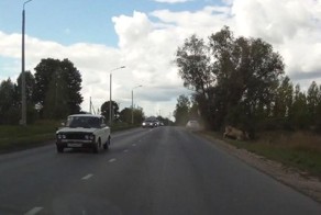 Скрылась с места происшествия