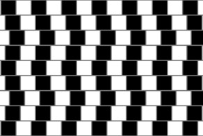 Случайная иллюзия стены кафе в ванной после кладки плитки