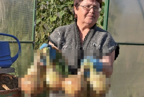 И наша Сибирь богата рекордами