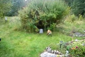 Незванный гость