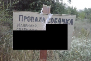 Пропала собака. Помогите найти