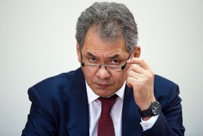 Шойгу назвал ответственных за падение малайзийского «Боинга»
