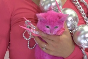 Гламурная бестолочь