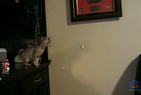 Плохой-плохой Марио