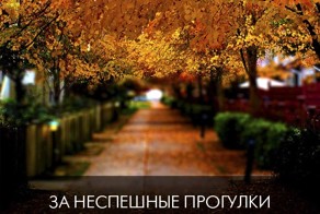 За что мы любим осень