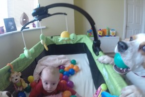 Дали щенку мешок с шариками, вот как он ими распорядился...