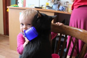 Это самый терпеливый кот в мире