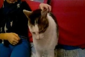 Подборка роликов от 26.12.2012