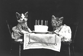 Коты начала 20-го века
