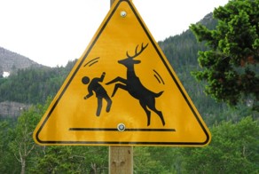 Восемь смешных и бестолковых дорожных знаков