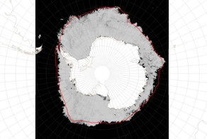 Сколько стоит ложь?