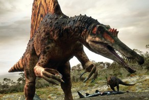 Удивительные открытия в палеонтологии в 2014 году