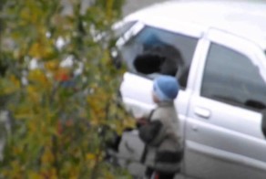 Необходимо воспитание