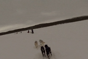 Подборка GIFок