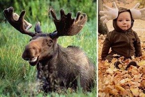 Смешные костюмы на Хэллоуин