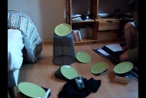 Шарик для пинг-понга, тарелки и сила гравитации