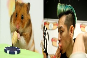 Хомяк против человека 