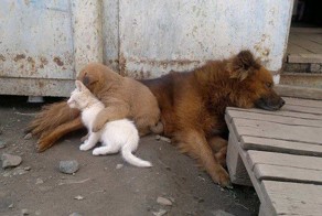 Фото со смыслом и без