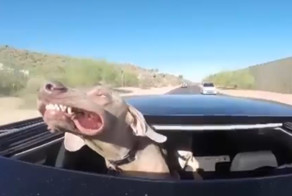 Авто подборка