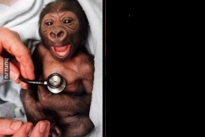 Реакция на прикосновение холодного фонендоскопа