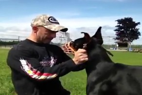 Идеальная дрессировка