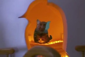 Кошкин дом