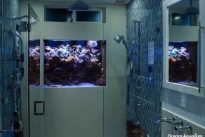 Уникальные душевые  комнаты со всего света